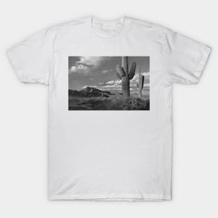 Saguaro And Teddybear Cholla Cacti And The Picacho Mountains T-Shirt